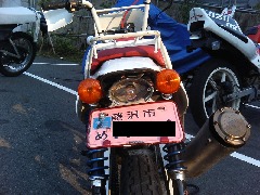 rear_teel1.jpg